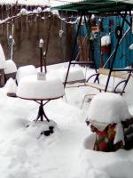 ������������� �����������