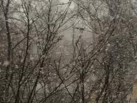 ������������� �����������