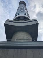 ������������� �����������