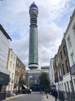 ������������� �����������